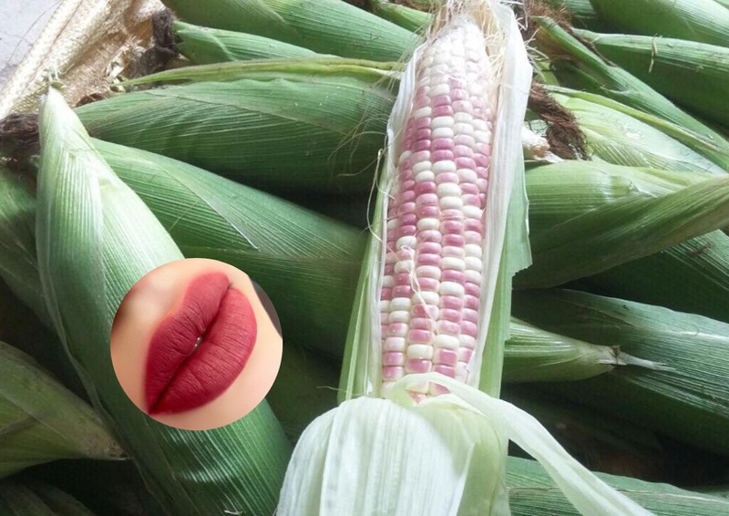 giai_dap_chi_tiet_thac_mac_xam_moi_co_duoc_an_ngo_nep_khong_cho_chi_em_quan_tam_2_b8bca0499a Giải đáp chi tiết thắc mắc xăm môi có được ăn ngô nếp không cho chị em quan tâm2