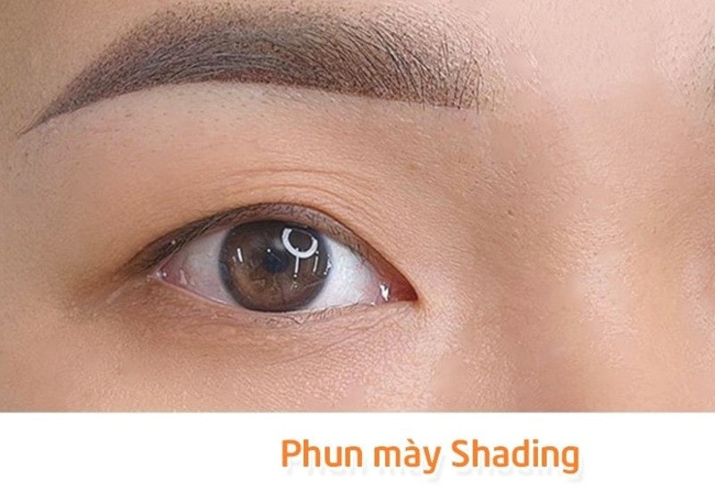 Tại sao da dầu cần kỹ thuật phun mày riêng? 4 Phun chân mày Shading
