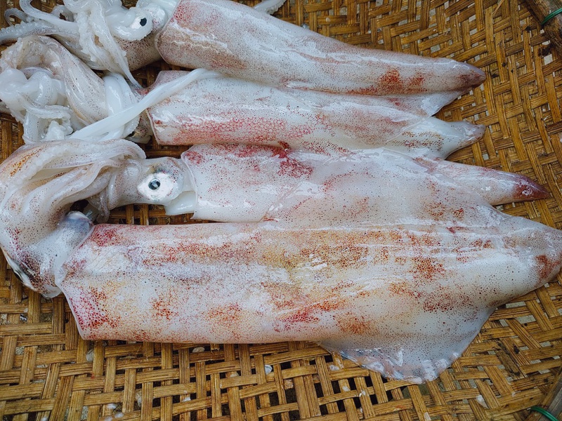 xam_moi_an_muc_duoc_khong_2_b1bb55e2ad Có nên ăn mực sau khi xăm môi không?