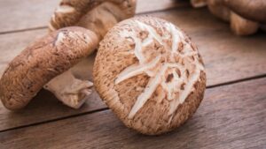 Xăm môi ăn nấm được không?