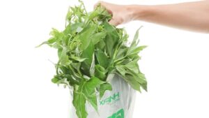 Xăm môi ăn rau lang được không?