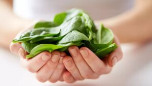 Xăm môi ăn rau mồng tơi