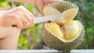 Xăm môi ăn sầu riêng