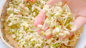 Xăm môi ăn giá đỗ có được không?