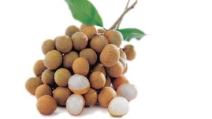 xam moi co an duoc nhan khong pv rhu 1668416088 f3ae996307