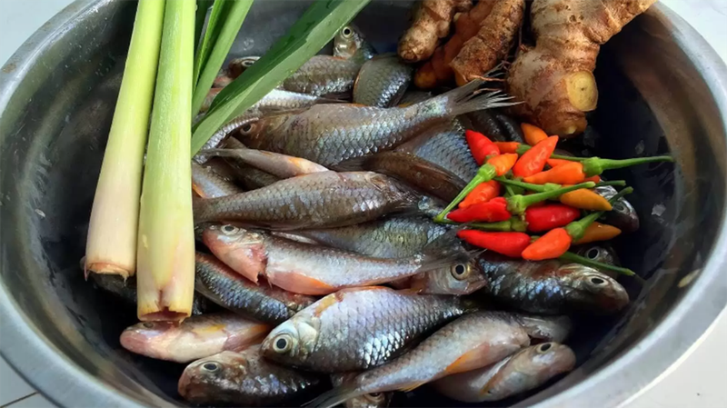 Xăm môi có được ăn cá đồng không? Cá đồng lành tính nên bạn có thể ăn sau khi phun xăm. Xăm môi có được ăn cá đồng không? Cá đồng lành tính nên bạn có thể ăn sau khi phun xăm.