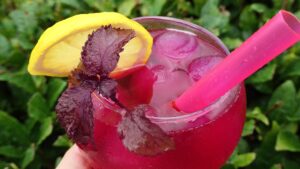 Xăm môi uống nước lá tía tô