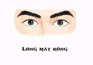 Lông mày rồng là gì? Nam, nữ có tướng mày rồng sướng hay khổ?