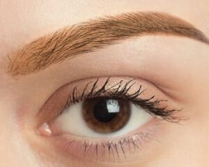 Long may mau nau dong 1 e1758007734664