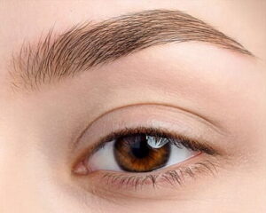 Mau long may nau socola 1 e1758008349299