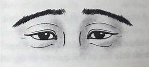 Lông mày rủ xuống là gì? Ý nghĩa lông mày cụp ở nam và nữ