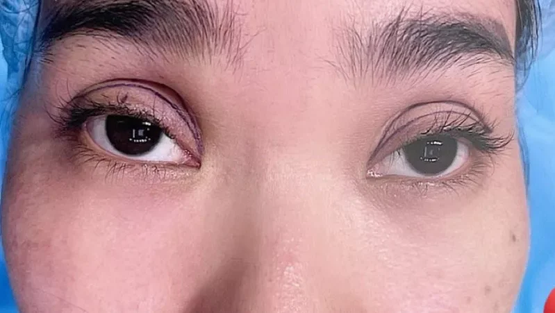 cat mi bi hong 3 e1758689028805