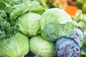 Xăm môi ăn bắp cải