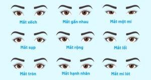 Các loại mắt đặc trưng của người Việt và cách phân biệt