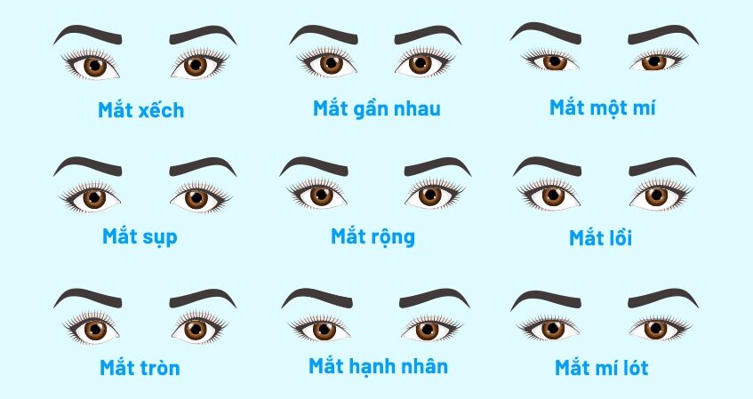 Các loại mắt đặc trưng của người Việt và cách phân biệt