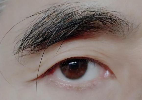 "Một sợi lông mày dài hơn vạn hạt" có ích lợi gì? Lông mày dài thường có ý nghĩa gì? 5 long may 6 ngoisaovn w1280 h908