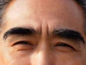 'Một sợi lông mày dài hơn vạn hạt' có ích lợi gì? Lông mày dài thường có ý nghĩa gì?