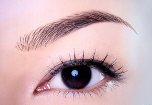 Lông mày lá liễu là gì? Vận mệnh người sở hữu chân mày lá liễu