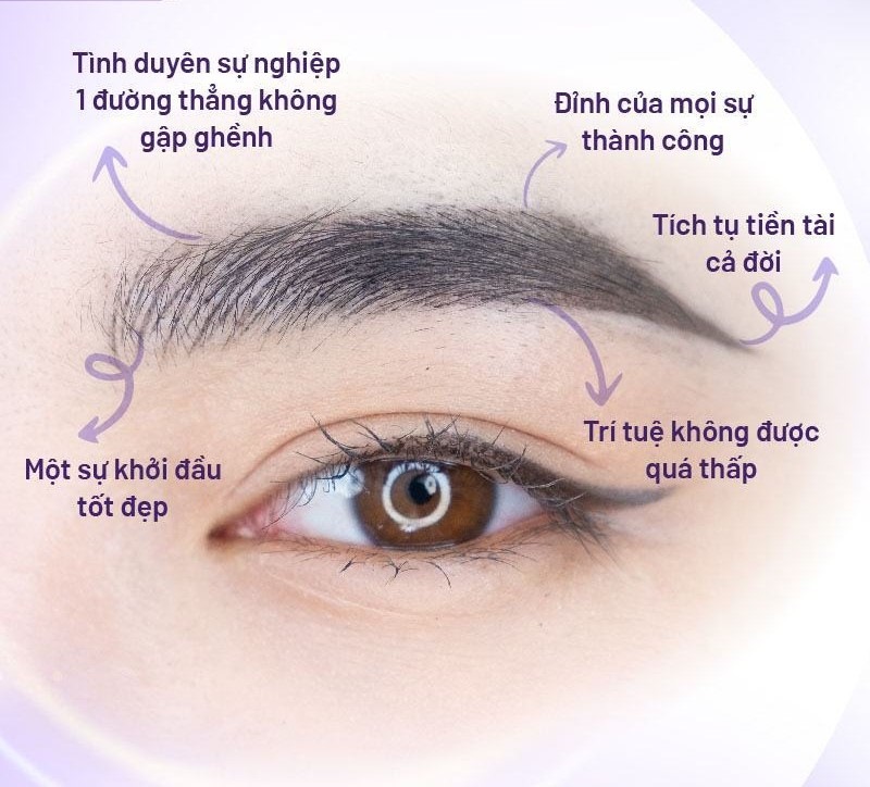 Hairstroke chân mày nam và yếu tố phong thủy Hairstroke chân mày nam và yếu tố phong thủy