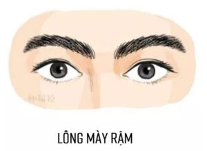 Lông mày rậm