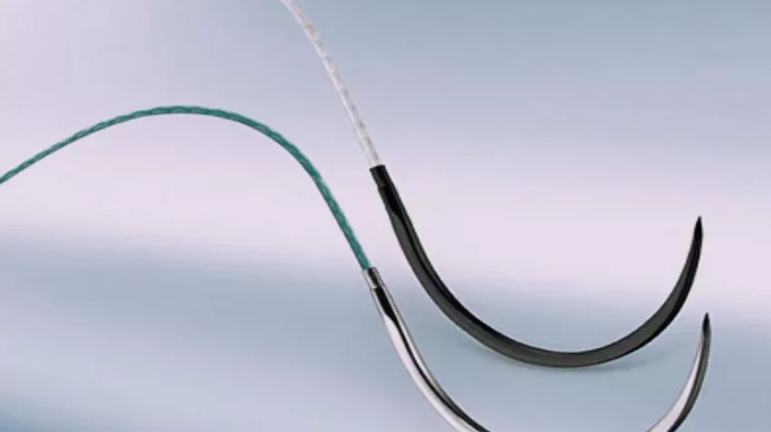 phan biet chi tu tieu va chi khong tieu cat mi e1758680846662