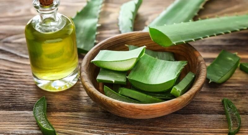 Trị thâm môi bằng dầu oliu có hiệu quả không? 5 cách thực hiện 6 tri tham moi bang dau oliu 6 67415b6102947 e1757661955791