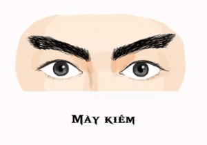 Lông mày lưỡi kiếm