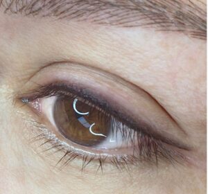 Mực phun mí màu nâu có ý nghĩa phong thủy gì?