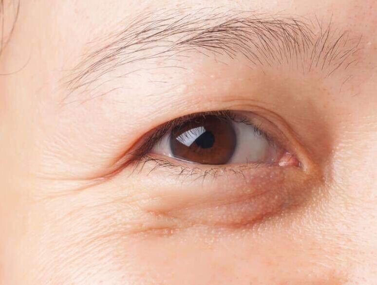 81772903 502456560660089 3276938980309860352 n e1760710140921