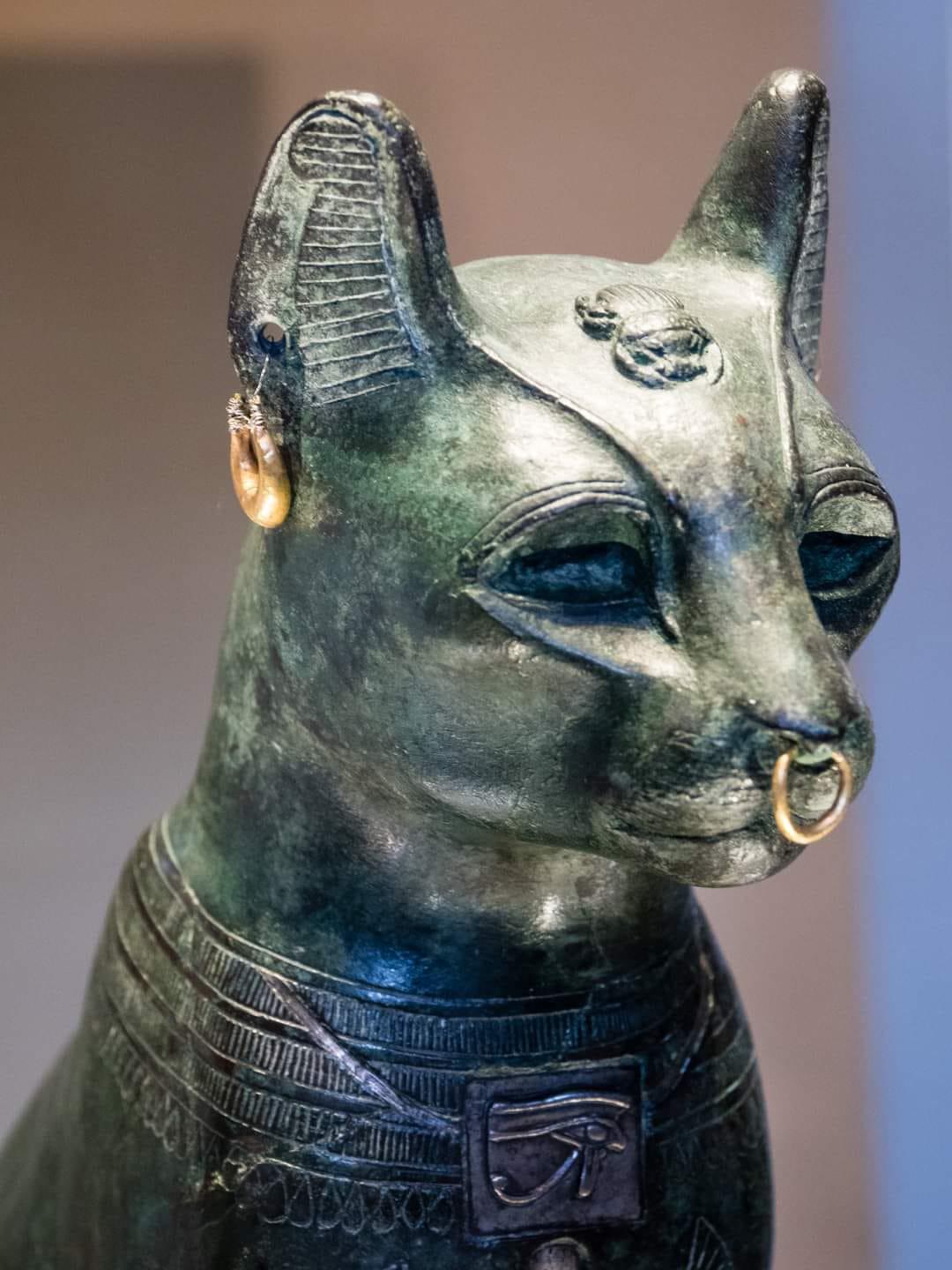 Mắt mèo trong văn hoá Ai Cập – cảm hứng cho phun mí cat-eye 3 Bastet The Gayer Anderson Cat