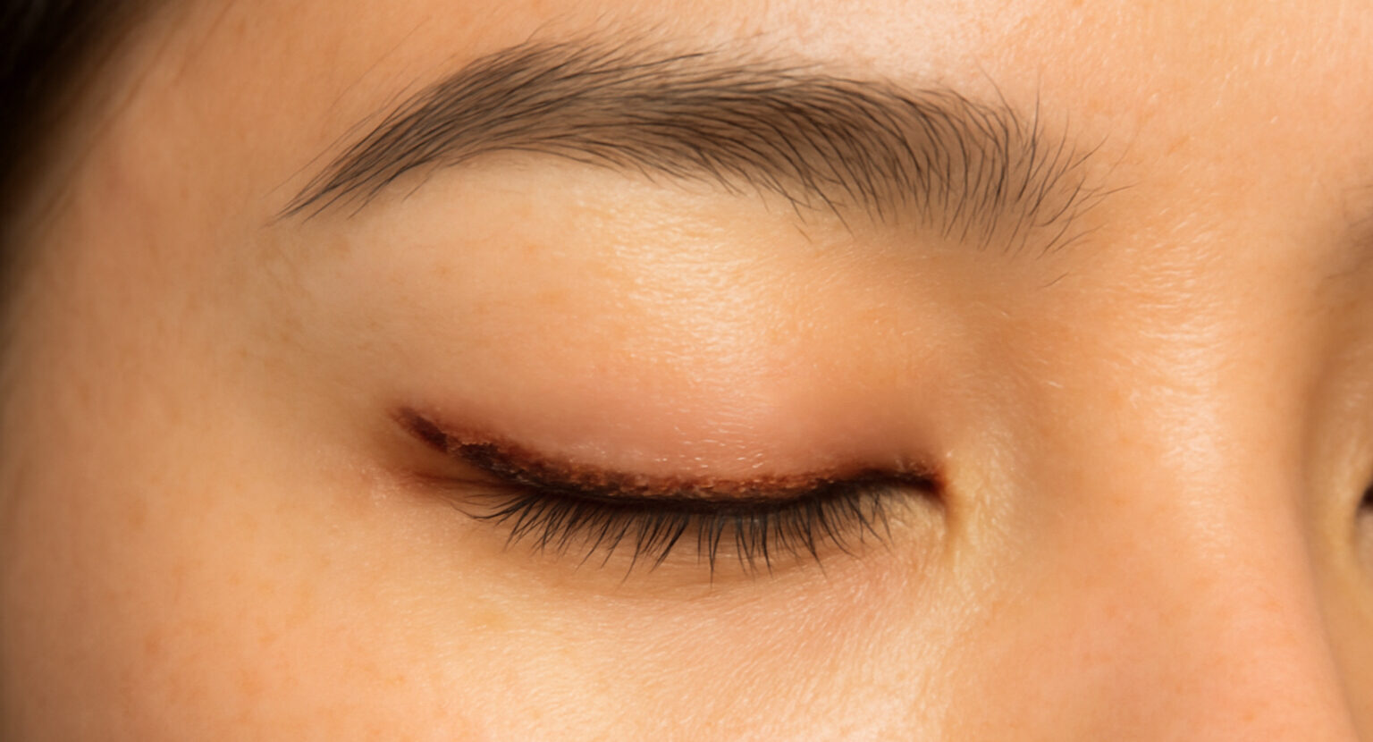 IMG 9706 e1764131426995