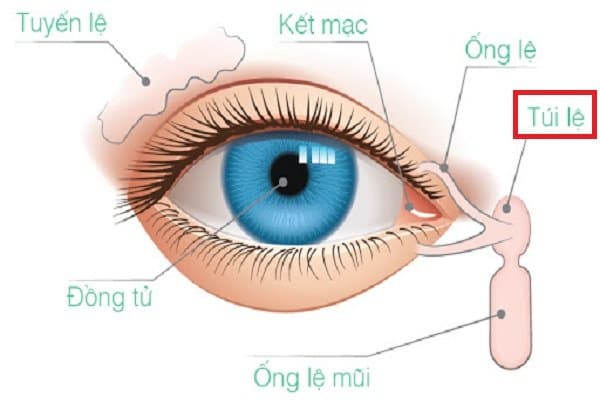 Uốn mi có ảnh hưởng đến tuyến lệ hoặc giác mạc không? 1 Tui le