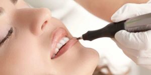 cay moi sinh hoc 4 1696226298803606014941