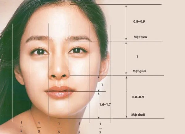 Ảnh hưởng của tỷ lệ vàng trong dáng phun mí 1 Ảnh hưởng của tỷ lệ vàng trong dáng phun mí.