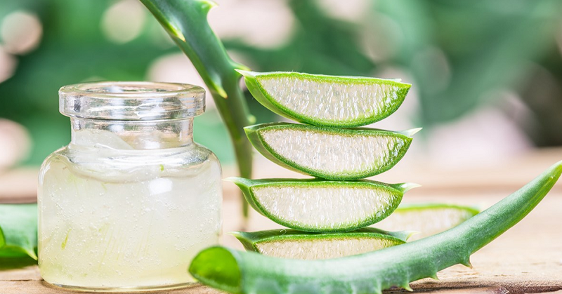 Sau phun mí có nên dưỡng ẩm bằng lô hội tươi? 2 nha dam