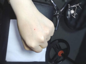 not ruoi son phu quy