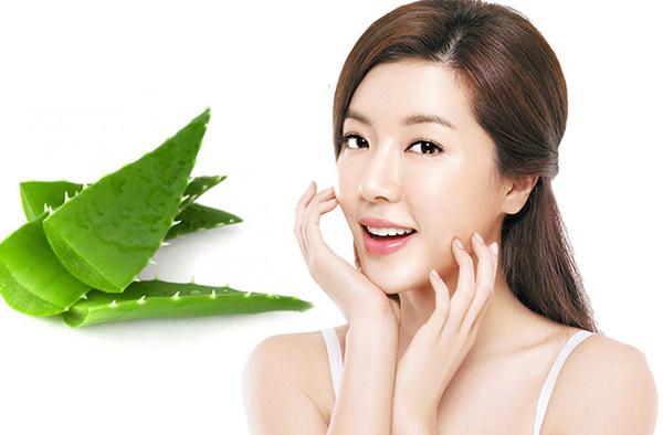 Sau phun mí có nên dưỡng ẩm bằng lô hội tươi? 1 Sau phun mí có nên dưỡng ẩm bằng lô hội tươi?