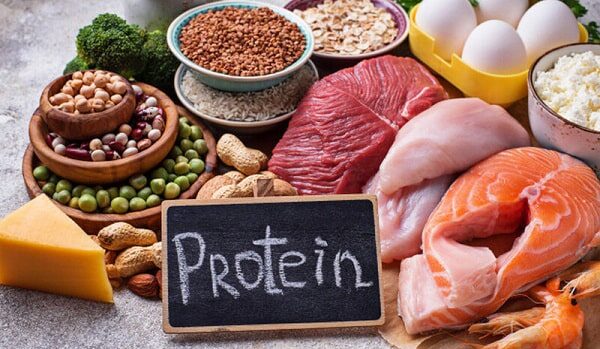 thuc pham giau protein e1761108446316