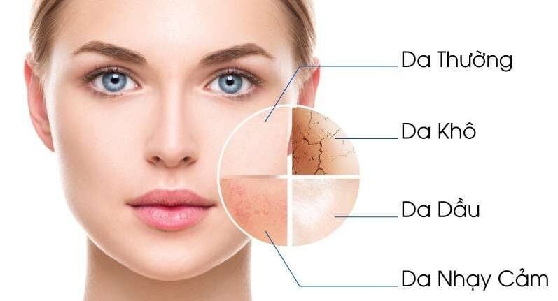 20210815 105147 233732 phan biet cac loai max 1800x1800 jpg 69ce443558 e1764063458342