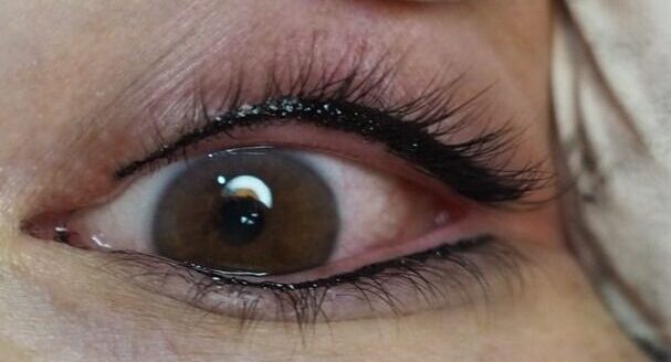 739a3f4163916e6a19d28b0d4046f5cc e1762756113506