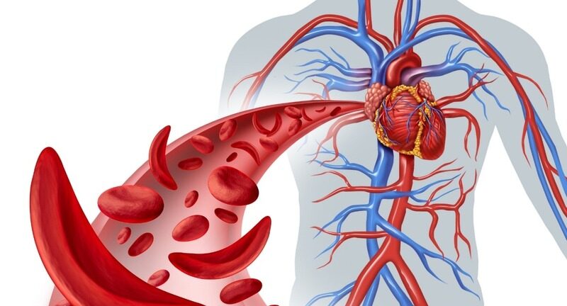 qua trinh phuc hoi may sau phun xam 1 e1763712550521