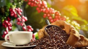 Sau khi phun môi có nên uống cà phê? Lời khuyên từ chuyên gia