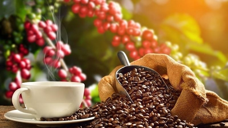 Sau khi phun môi có nên uống cà phê? Lời khuyên từ chuyên gia