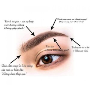 Phun mày phong thủy: Ý nghĩa & cách chọn dáng mày may mắn cho bạn