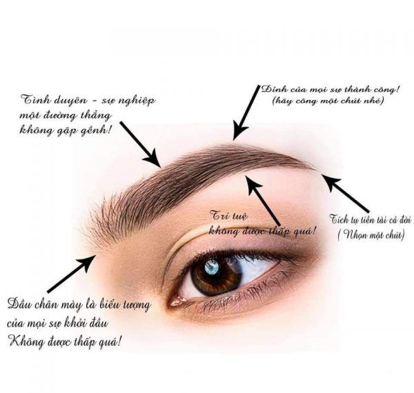 Phun xăm phong thủy có thật sự ảnh hưởng vận mệnh không? 1 Phun mày phong thủy: Ý nghĩa & cách chọn dáng mày may mắn cho bạn