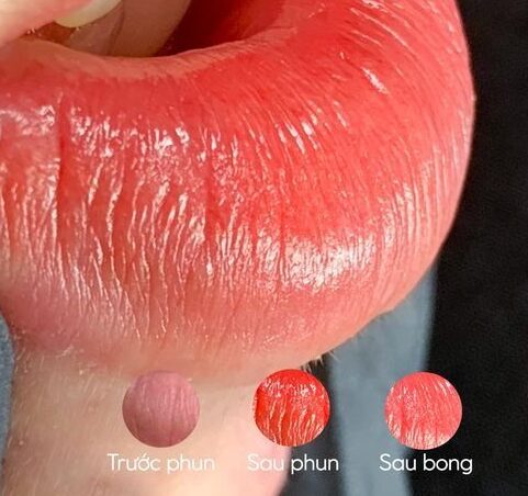 Top màu môi phun đẹp nhất 2026 phù hợp đi làm sau Tết